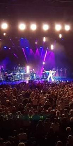 Elvis World Tour - Arenas 2018